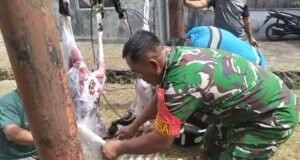 Babinsa Kuta Timu Bantu Penyembelihan Hewan Kurban, Wujud Kebersamaan dan Kepedulian Sosial