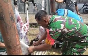 Babinsa Kuta Timu Bantu Penyembelihan Hewan Kurban, Wujud Kebersamaan dan Kepedulian Sosial