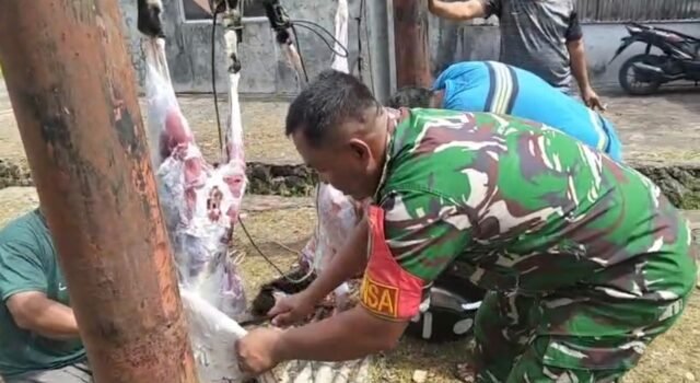 Babinsa Kuta Timu Bantu Penyembelihan Hewan Kurban, Wujud Kebersamaan dan Kepedulian Sosial
