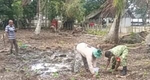 Semangatkan Petani, Babinsa Paya Bantu Penanaman Bibit Nilam di Pantai Jaya