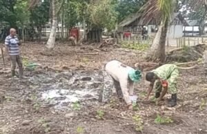 Semangatkan Petani, Babinsa Paya Bantu Penanaman Bibit Nilam di Pantai Jaya