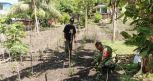 Kebersamaan Babinsa Kuta Barat dan Perkuat Ketahanan Pangan Daerah