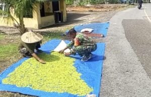 Dukung Kesejahteraan Warga, Babinsa Paya Dampingi Proses Pascapanen Cengkeh