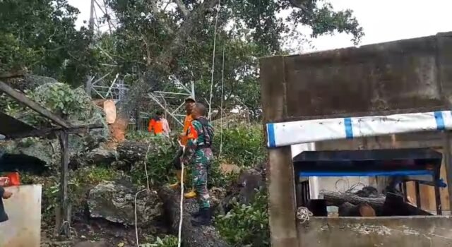 Babinsa Keuneukai Bersama BPBD Sigap Bantu Warga Terdampak Pohon Tumbang