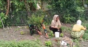 Babinsa Jaboi Dampingi Petani Bersihkan Gulma, Dukung Peningkatan Produksi Cabai Berkualitas