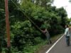 Babinsa Keuneukai Bersama Petugas PLN Bersihkan Jalur Kabel Listrik Demi Kelancaran Pasokan Listrik Warga
