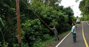 Babinsa Keuneukai Bersama Petugas PLN Bersihkan Jalur Kabel Listrik Demi Kelancaran Pasokan Listrik Warga