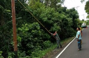 Babinsa Keuneukai Bersama Petugas PLN Bersihkan Jalur Kabel Listrik Demi Kelancaran Pasokan Listrik Warga
