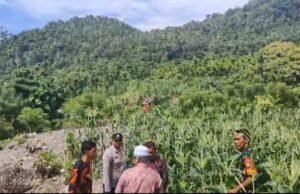 Babinsa Koramil 01/Sukajaya Gampong Berawang Pantau Ketahanan Pangan Warga Melalui Budidaya Jagung