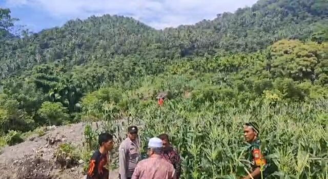 Babinsa Koramil 01/Sukajaya Gampong Berawang Pantau Ketahanan Pangan Warga Melalui Budidaya Jagung