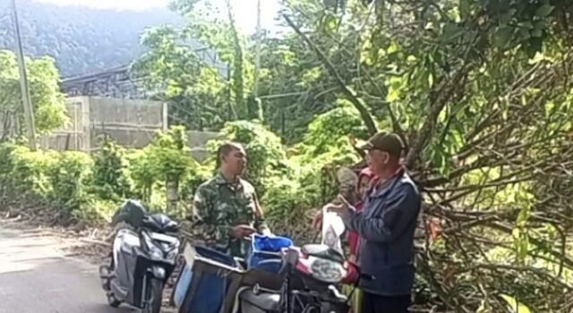 Babinsa Paya Pantau Stabilitas Harga Ikan, Dorong Pedagang Jaga Kualitas Dagangan