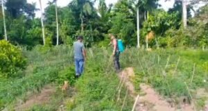 Babinsa Koramil 02/Sukakarya Dampingi Petani Cabai, Wujud Nyata Dukungan Ketahanan Pangan