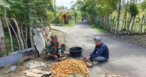 Wujud Kepedulian di Wilayah Binaan, Babinsa Paya Seunara Bantu Warga Membelah Pinang
