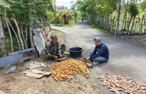 Wujud Kepedulian di Wilayah Binaan, Babinsa Paya Seunara Bantu Warga Membelah Pinang
