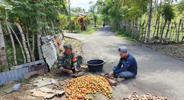 Wujud Kepedulian di Wilayah Binaan, Babinsa Paya Seunara Bantu Warga Membelah Pinang