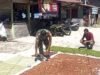 Babinsa Bantu Warga Jemur Cengkeh, Dorong Peningkatan Kualitas Hasil Panen di Sabang
