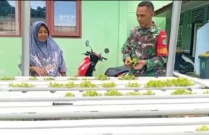 Babinsa Aneuk Laot Dampingi Warga Kembangkan Hidroponik, Dukung Ketahanan Pangan Wilayah Binaan