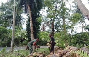 Kebersamaan TNI dan Rakyat, Babinsa Keuneukai Bantu Petani Kelapa di Jurong Lhok