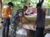 Babinsa Jaboi Turun ke Kebun, Bantu Petani Pilah Cengkeh Demi Tingkatkan Kualitas Hasil Panen