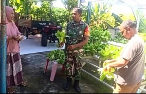 Babinsa Paya Dampingi Panen Sawi Hidroponik, Hasilkan Sayuran Sehat Bernilai Ekonomi