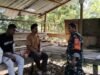 Kunjungi Kebun Saat Panen, Babinsa Iboih Dukung Produktivitas Petani Cengkeh