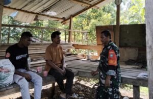 Kunjungi Kebun Saat Panen, Babinsa Iboih Dukung Produktivitas Petani Cengkeh