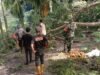 Babinsa Koramil 01/Sukajaya Bersama BNPB Sigap Evakuasi Pohon Tumbang Timpa Rumah Warga di Balohan