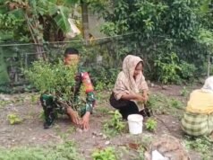 Babinsa Jaboi Aktif Dampingi Perawatan Cabai, Berikan Semangat Petani Tingkatkan Hasil Panen