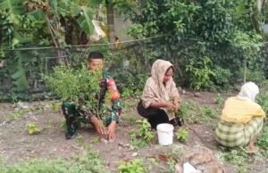 Babinsa Jaboi Aktif Dampingi Perawatan Cabai, Berikan Semangat Petani Tingkatkan Hasil Panen