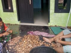 Babinsa Paya Seunara Bantu Proses Pengolahan Pinang, Bukti Kedekatan TNI dengan Masyarakat