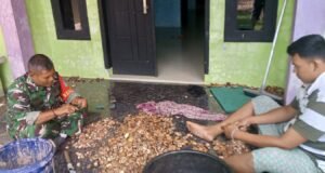 Babinsa Paya Seunara Bantu Proses Pengolahan Pinang, Bukti Kedekatan TNI dengan Masyarakat