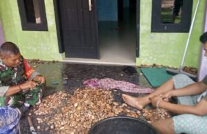 Babinsa Paya Seunara Bantu Proses Pengolahan Pinang, Bukti Kedekatan TNI dengan Masyarakat