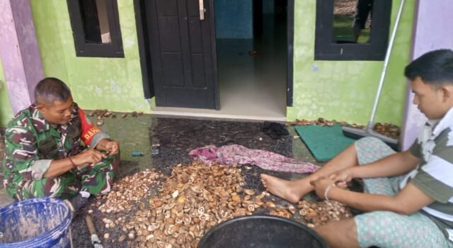 Babinsa Paya Seunara Bantu Proses Pengolahan Pinang, Bukti Kedekatan TNI dengan Masyarakat