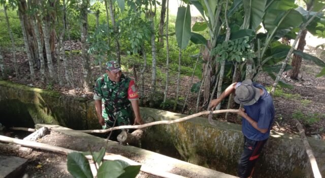 Kehadiran Babinsa di tengah masyarakat tidak hanya sebagai aparat teritorial, tetapi juga menjadi sahabat yang selalu siap membantu
