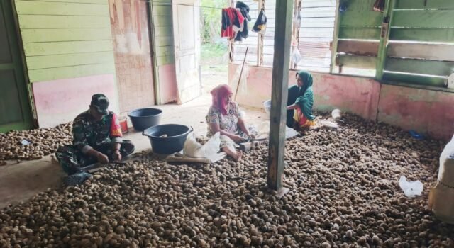 Babinsa Paya Seunara Ringankan Pekerjaan Warga Kupas Pinang, Wujud Nyata Kedekatan TNI dengan Masyarakat
