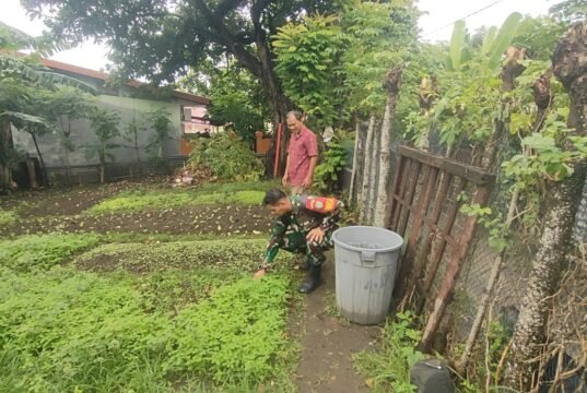 Babinsa Pantau Ketahanan Pangan Warga, Pastikan Sektor Pertanian di Kuta Ateuh Terus Produktif