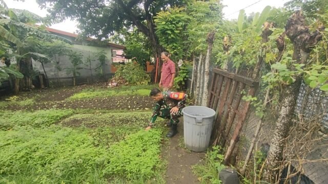 IMG-20260704-WA0006