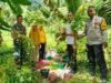 Babinsa Koramil 01/Sukajaya dan Bhabinkamtibmas Dampingi Panen Kacang Tanah di Jaboi, Wujud Nyata Dukungan Ketahanan Pangan