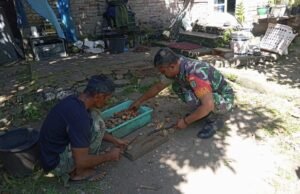 Babinsa Gampong Cot Abeuk Turun Langsung Bantu Warga Olah Hasil Pinang, Eratkan Silaturahmi