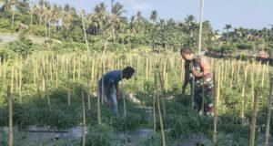 Babinsa Ujong Kareung Kunjungi Kebun Warga, Dukung Optimalisasi Lahan Jadi Sumber Penghasilan