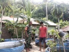 Dukung Ketahanan Pangan, Babinsa Kuta Timu Dampingi Warga Kembangkan Budidaya Ikan Tawar