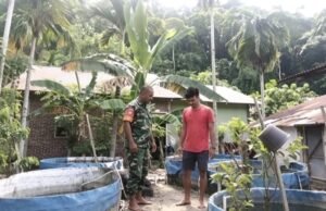Dukung Ketahanan Pangan, Babinsa Kuta Timu Dampingi Warga Kembangkan Budidaya Ikan Tawar