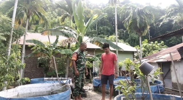 Dukung Ketahanan Pangan, Babinsa Kuta Timu Dampingi Warga Kembangkan Budidaya Ikan Tawar