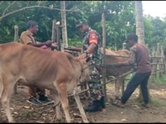 Perkuat Ketahanan Pangan, Babinsa Koramil 02/Sukakarya Dampingi Program Peternakan