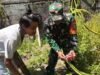 Turun Langsung ke Lahan, Babinsa Kuta Timu Dampingi Pembudidaya Buah Naga Warga