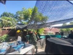 Gampong Kuta Ateuh Kembangkan Budidaya Lele, Babinsa Turun Langsung Memantau