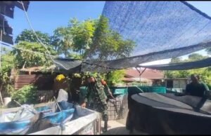 Gampong Kuta Ateuh Kembangkan Budidaya Lele, Babinsa Turun Langsung Memantau