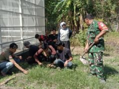 Bersihkan Pekarangan Posyandu Bersama Ibu PKK, Babinsa Balohan Wujudkan Kebun Gizi Percontohan