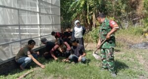 Bersihkan Pekarangan Posyandu Bersama Ibu PKK, Babinsa Balohan Wujudkan Kebun Gizi Percontohan