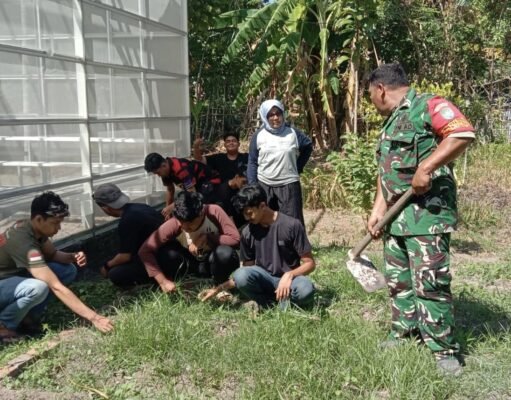 Bersihkan Pekarangan Posyandu Bersama Ibu PKK, Babinsa Balohan Wujudkan Kebun Gizi Percontohan